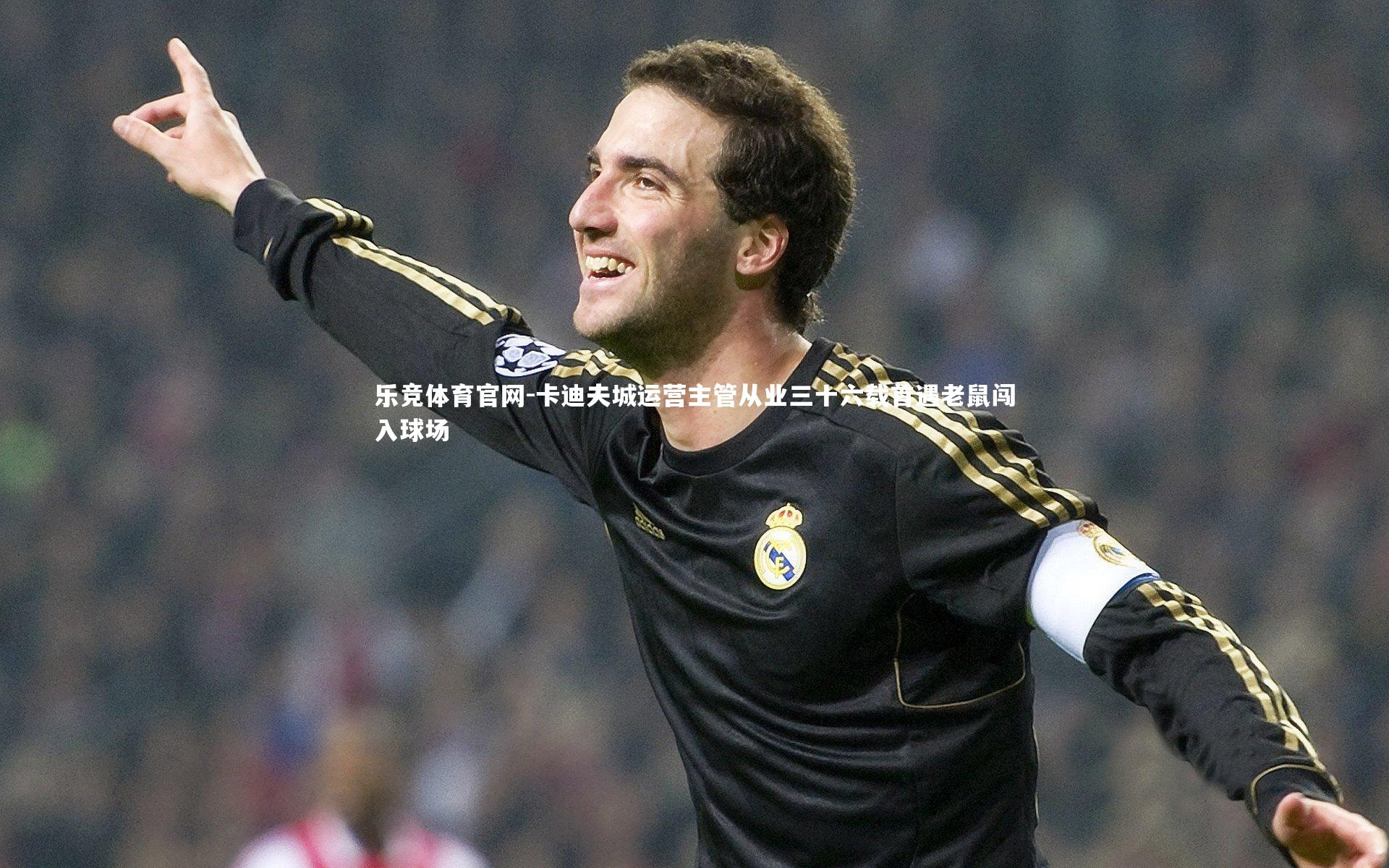 乐竞体育官网-卡迪夫城运营主管从业三十六载首遇老鼠闯入球场