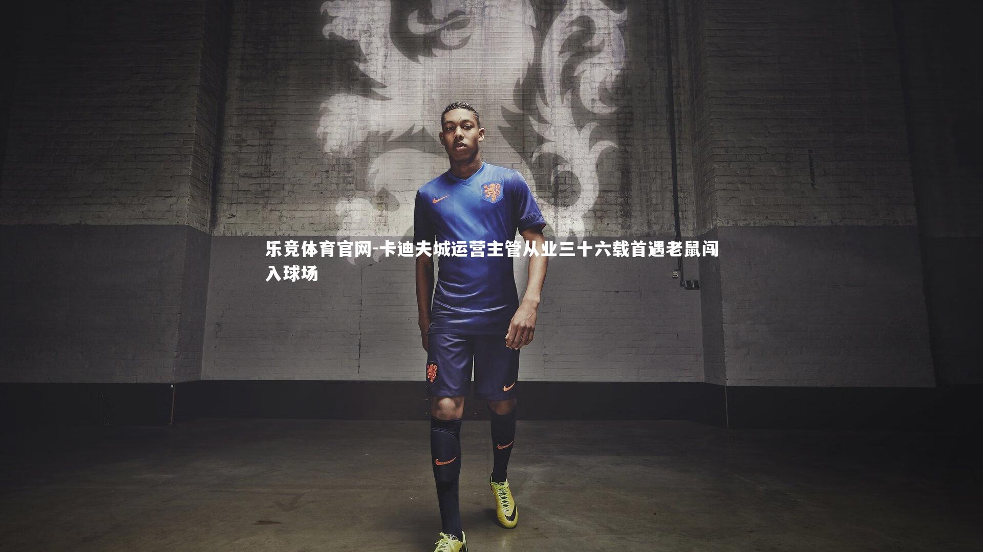 卡迪夫城运营主管从业三十六载首遇老鼠闯入球场